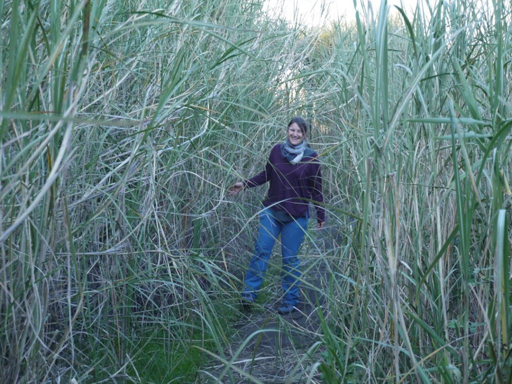 so akzeptieren, wie ich bin